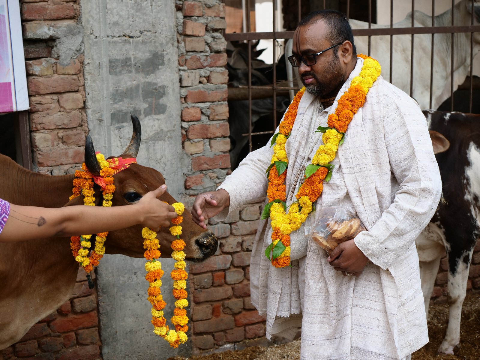  53 Gopashtami Radha kunda Govardhan 19.11.04